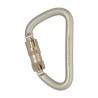 Karabinek DMM 12 MM KLETTERSTEIG STEEL KL ANSI