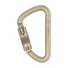Karabinek DMM 12 MM KLETTERSTEIG STEEL LS ANSI