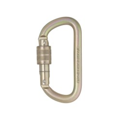 Karabinek DMM 10 MM STEEL EQUAL D SG