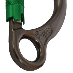 Karabinek DMM CAPTIVE EYE SG