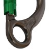 Karabinek DMM CAPTIVE EYE SG
