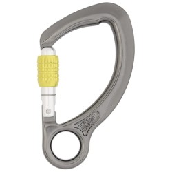 Karabinek DMM CAPTIVE EYE SG