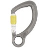 Karabinek DMM CAPTIVE EYE SG