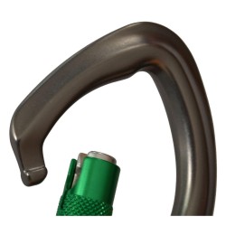 Karabinek DMM CAPTIVE EYE SG