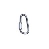 Karabinek Petzl SPEEDY 