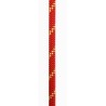 Lina Edelweiss TEMP 11 mm RED 100 m