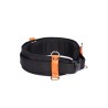 Punkt mocujący NLG COMFORT SAFETY BELT