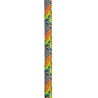 Lina Teufelberger TACHYON ASH 11.5 mm / 45m 1x spLIFE