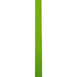 Taśma Edelweiss TUBULAR 19 mm GREEN