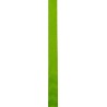 Taśma Edelweiss TUBULAR 19 mm GREEN