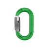 Karabinek DMM PerfectO LS GREEN