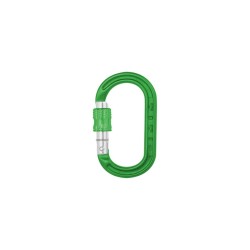 Karabinek DMM XSRE LOCK GREEN