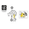 Przyrząd zjazdowy Petzl RIG